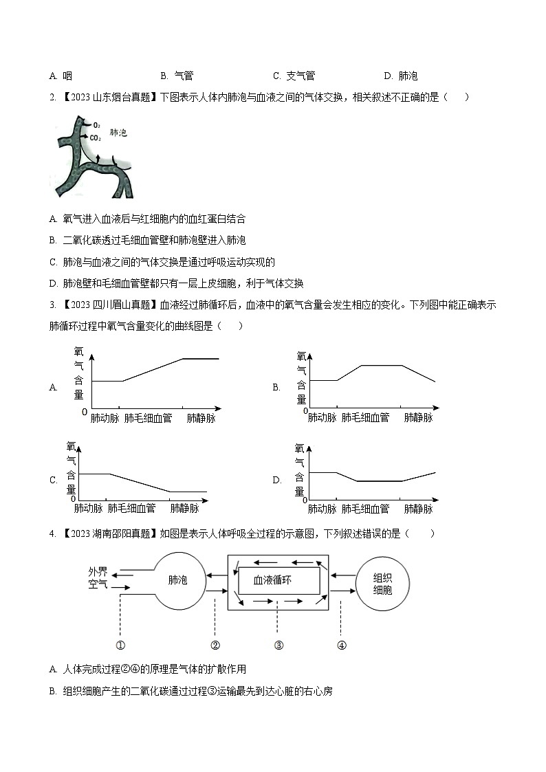 专题08  人体呼吸（全国通用） （原卷版）第3页