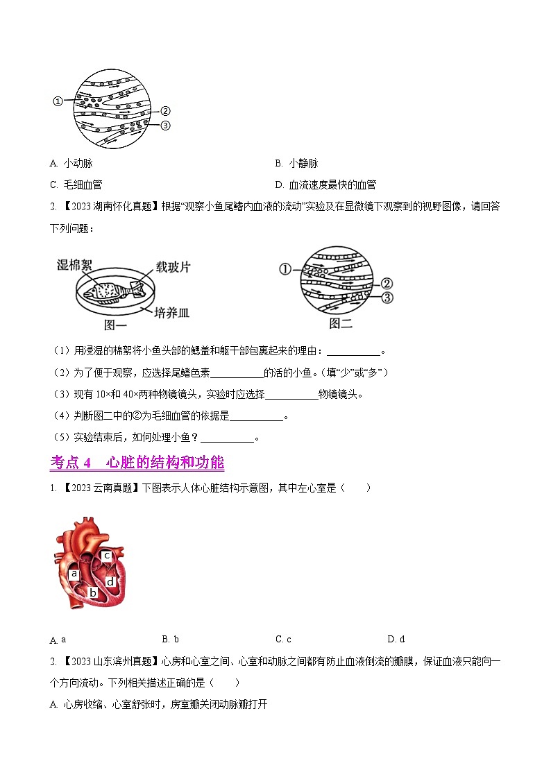 专题09  人体内物质的运输（全国通用）（原卷版）第3页