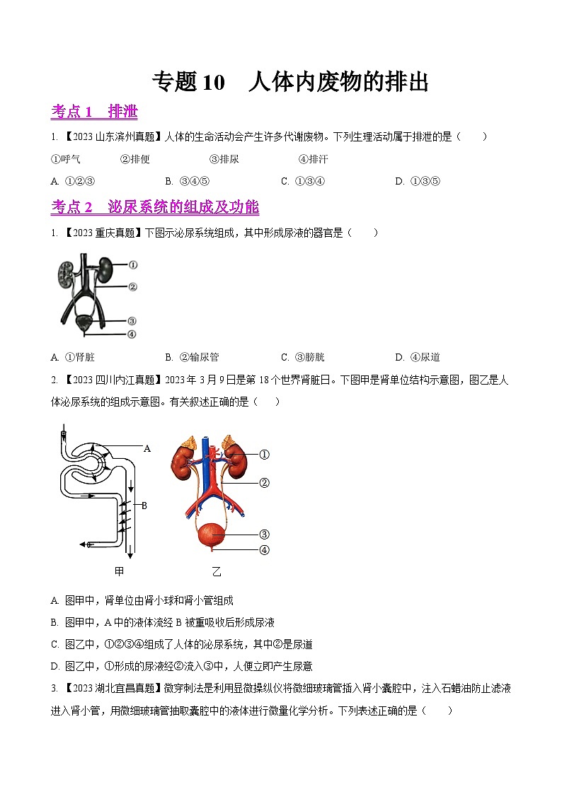 专题10  人体内废物的排出（全国通用）（原卷版）第1页
