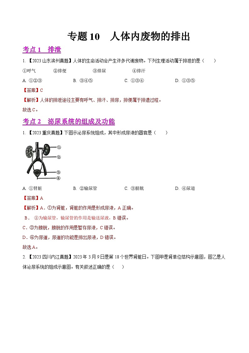 专题10  人体内废物的排出（全国通用）（解析版）第1页