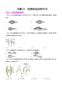 2023年全国生物中考真题试题分类汇编——专题12  动物的运动和行为（全国通用）