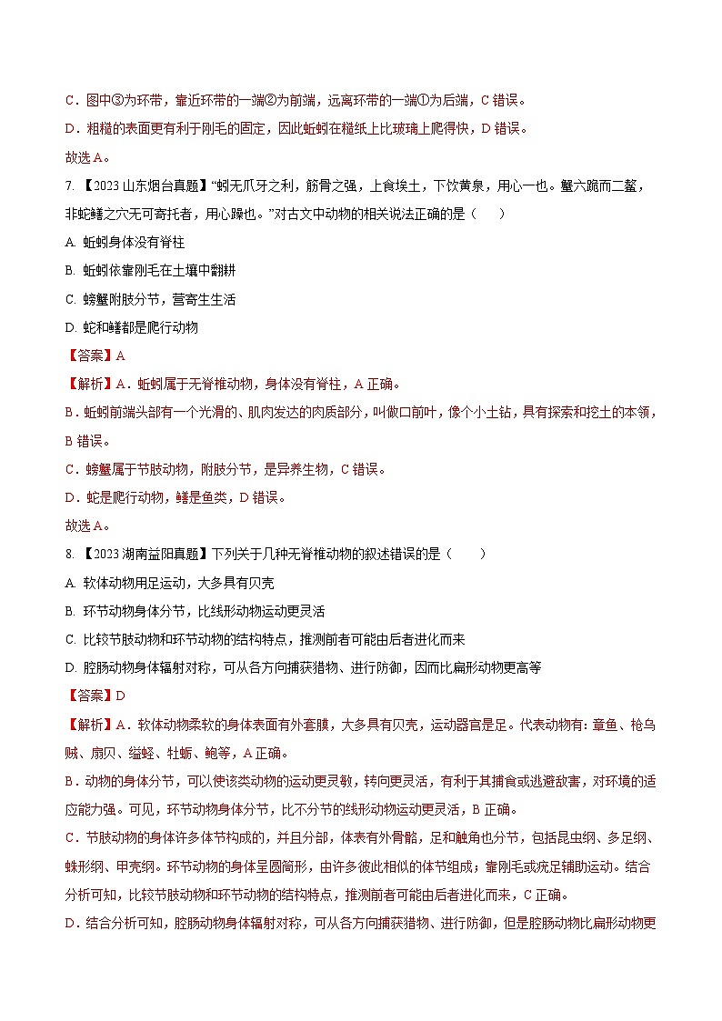2023年全国生物中考真题试题分类汇编——专题13  植物、动物和微生物类群（全国通用）03
