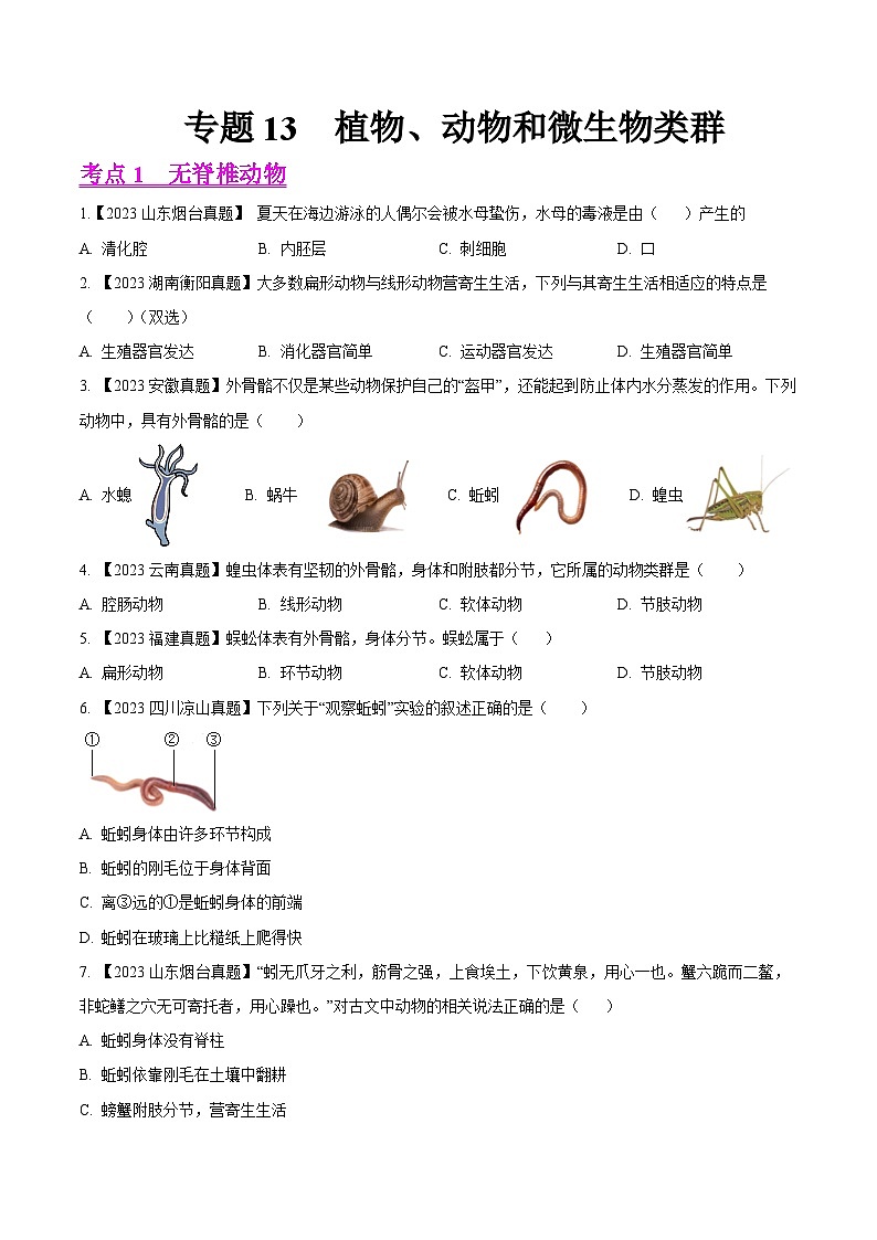 2023年全国生物中考真题试题分类汇编——专题13  植物、动物和微生物类群（全国通用）01