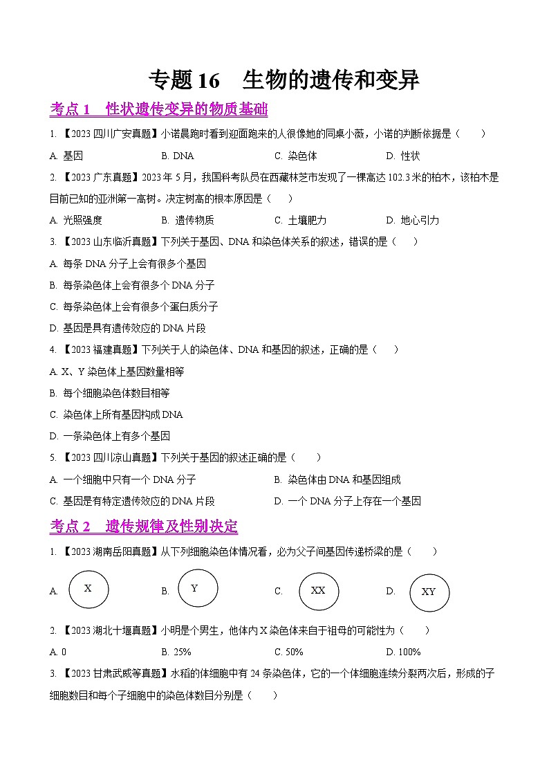 专题16  生物的遗传和变异（全国通用） （原卷版）第1页