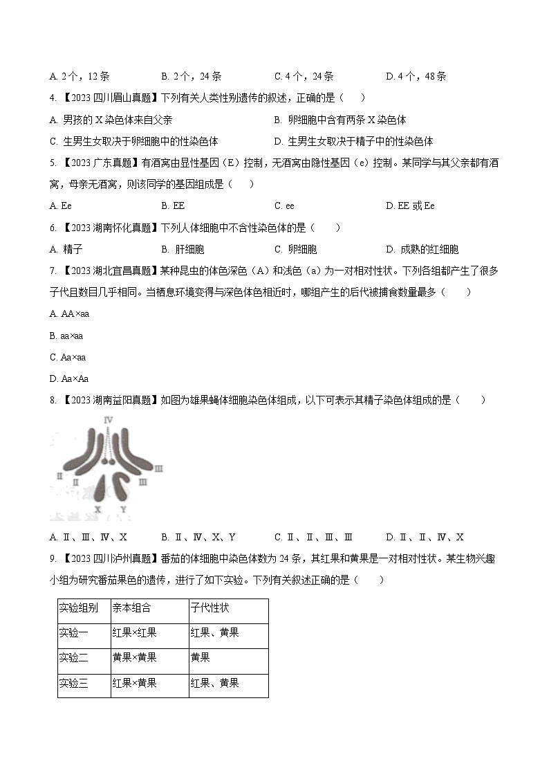 专题16  生物的遗传和变异（全国通用） （原卷版）第2页