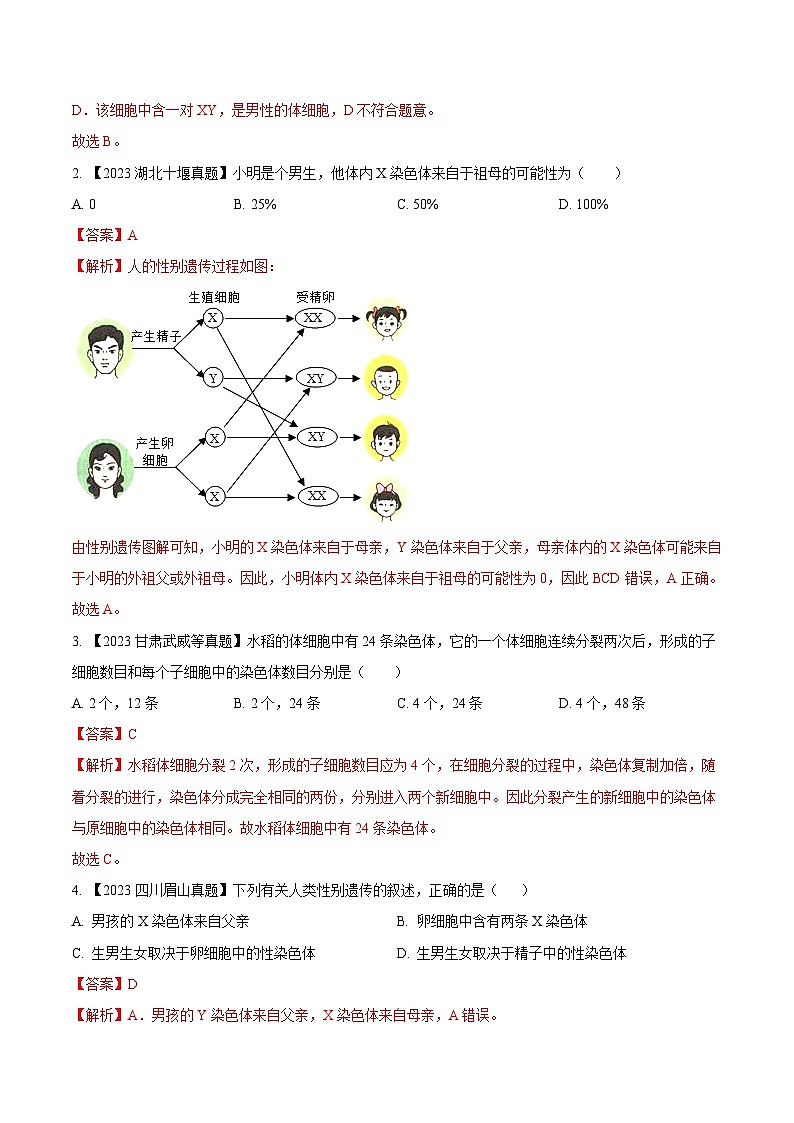 专题16  生物的遗传和变异（全国通用） （解析版）第3页