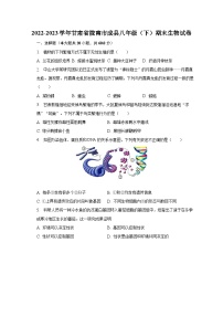 2022-2023学年甘肃省陇南市成县八年级（下）期末生物试卷（含解析）