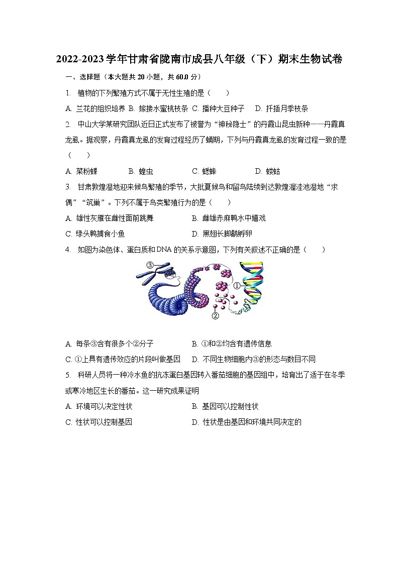 2022-2023学年甘肃省陇南市成县八年级（下）期末生物试卷（含解析）01