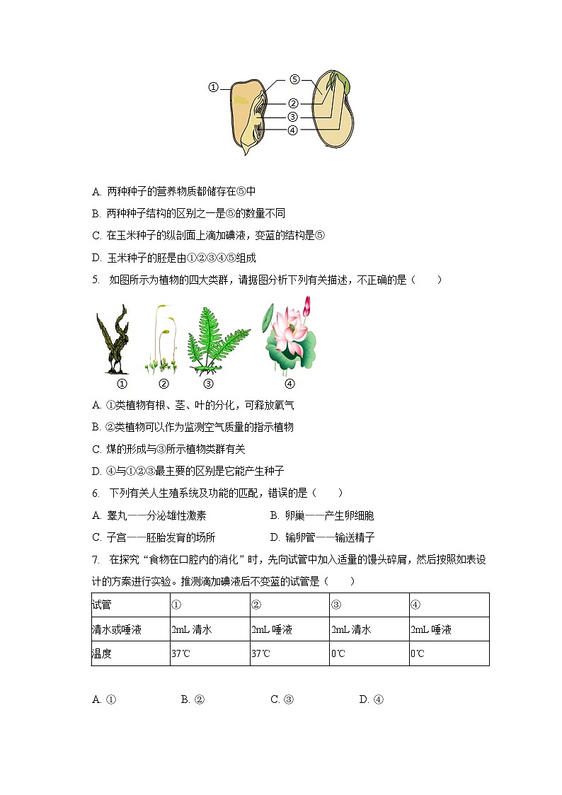 2023年吉林省四平市中考生物三模试卷（含解析）第2页