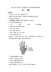 山西省朔州市2022-2023学年八年级下学期期末生物试题（含答案）