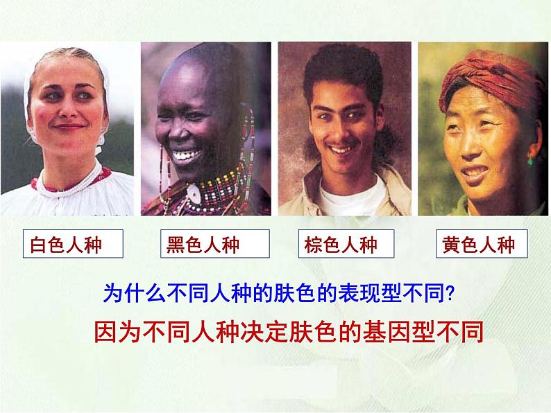 第二十章第五节 遗传与环境-2023-2024学年八年级生物上册同步优质课件（北师大版）第3页