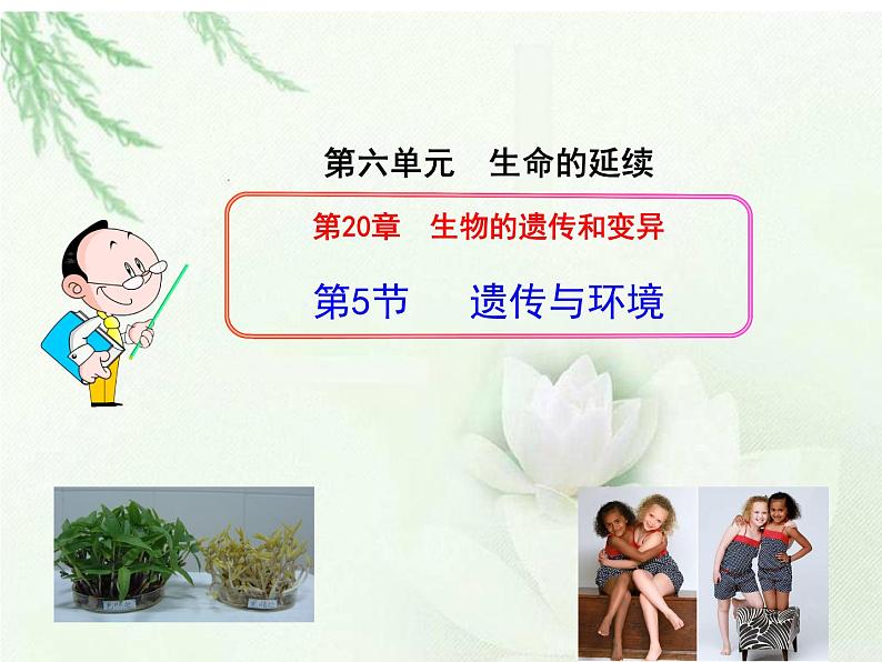 第二十章第五节 遗传与环境-2023-2024学年八年级生物上册同步优质课件（北师大版）第6页