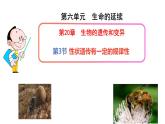 第二十章第三节 性状遗传有一定的规律-2023-2024学年八年级生物上册同步优质课件（北师大版）