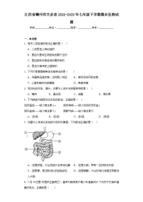 江西省赣州市大余县2022-2023年七年级下学期期末生物试题（含答案）