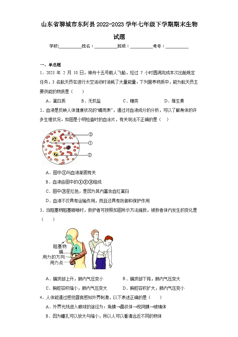 山东省聊城市东阿县2022-2023学年七年级下学期期末生物试题（含答案）第1页