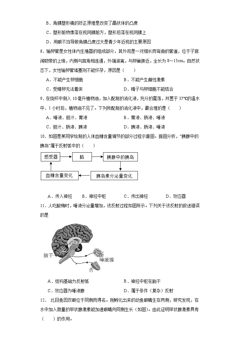 山东省聊城市东阿县2022-2023学年七年级下学期期末生物试题（含答案）第3页