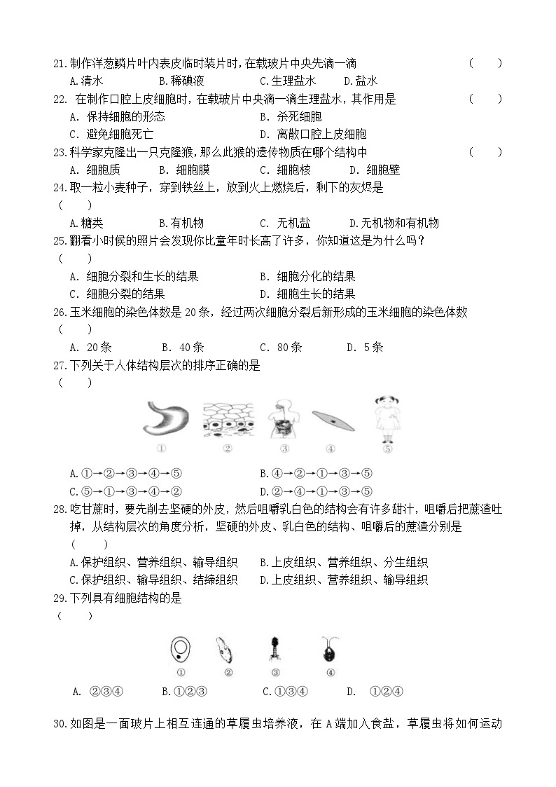 七年级上生物期末试题03