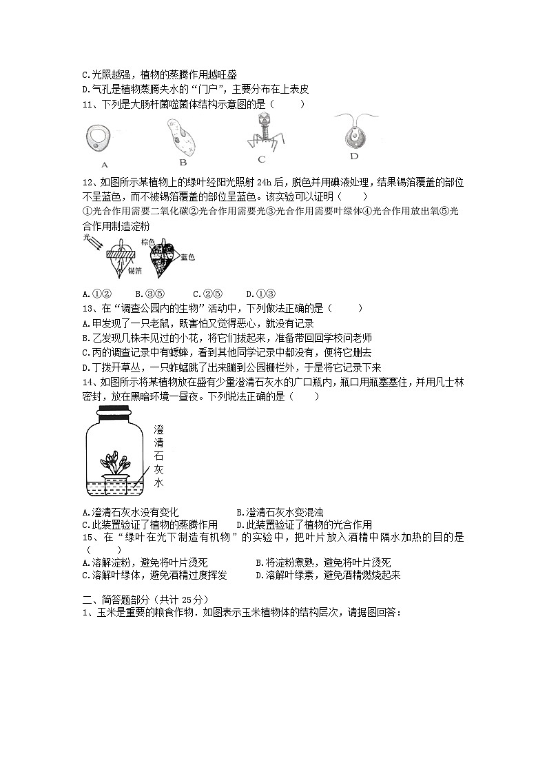 七年级上期末生物试卷02