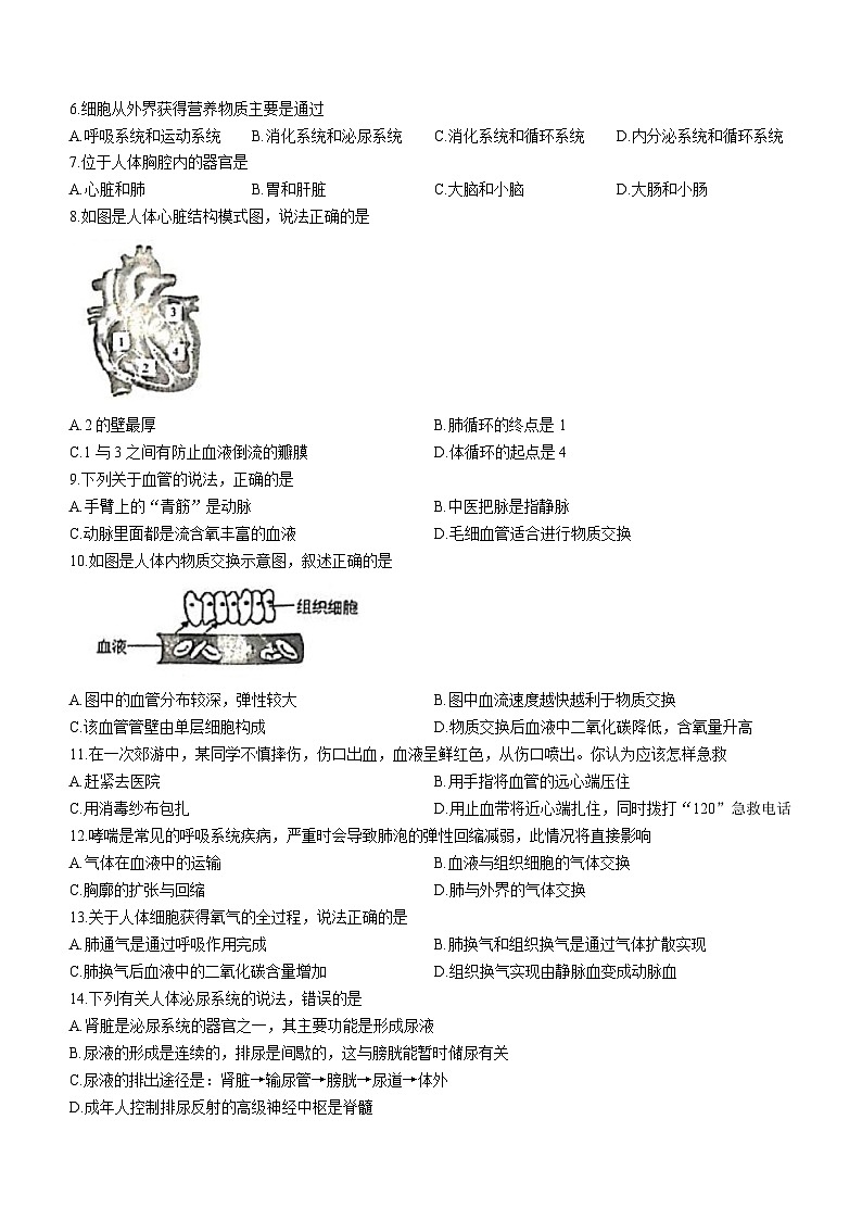 广东省揭阳市榕城区2022-2023学年七年级下学期期末生物试题（含答案）02