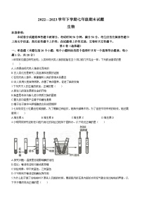 河南省郑州市惠济区2022-2023学年七年级下学期期末生物试题（含答案）