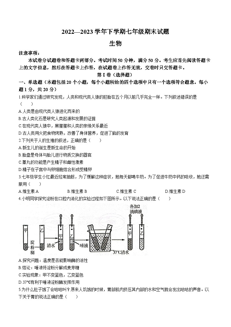 河南省郑州市惠济区2022-2023学年七年级下学期期末生物试题（含答案）第1页