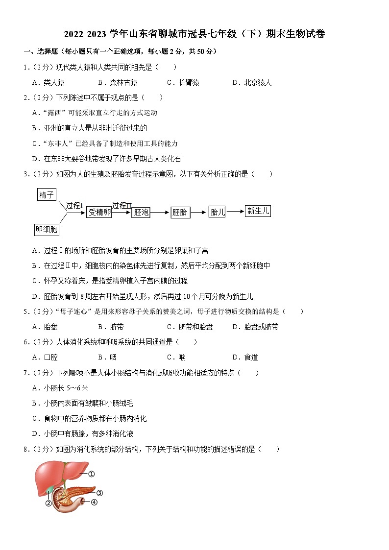 山东省聊城市冠县2022-2023学年七年级下学期期末生物试卷（含答案）01