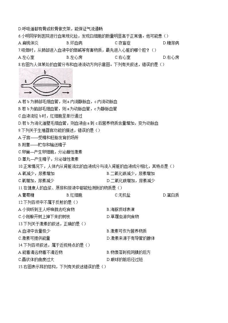 河南省驻马店市正阳县2022-2023学年七年级下学期期末生物试题（含答案）02