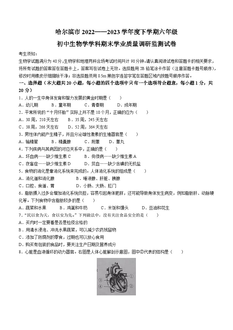 黑龙江省哈尔滨市2022-2023学年六年级下学期期末生物试题（含答案）第1页