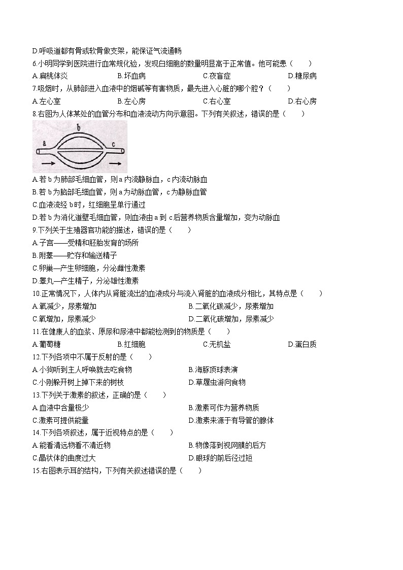 河南省驻马店市正阳县2022-2023学年七年级下学期期末生物试题（含答案）第2页