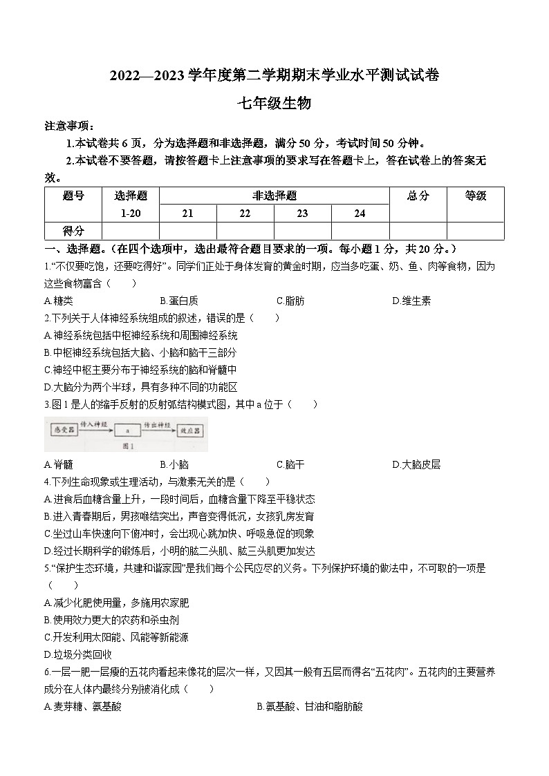 河南省驻马店市遂平县2022-2023学年七年级下学期期末生物试题（含答案）第1页