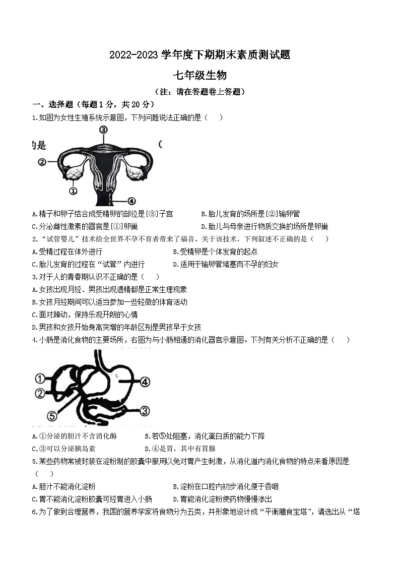 河南省驻马店市泌阳县2022-2023学年七年级下学期期末生物试题（含答案）第1页