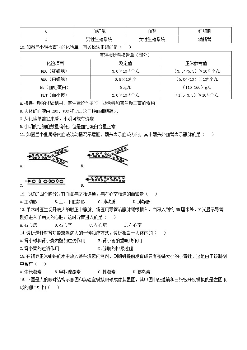 河南省驻马店市泌阳县2022-2023学年七年级下学期期末生物试题（含答案）第3页