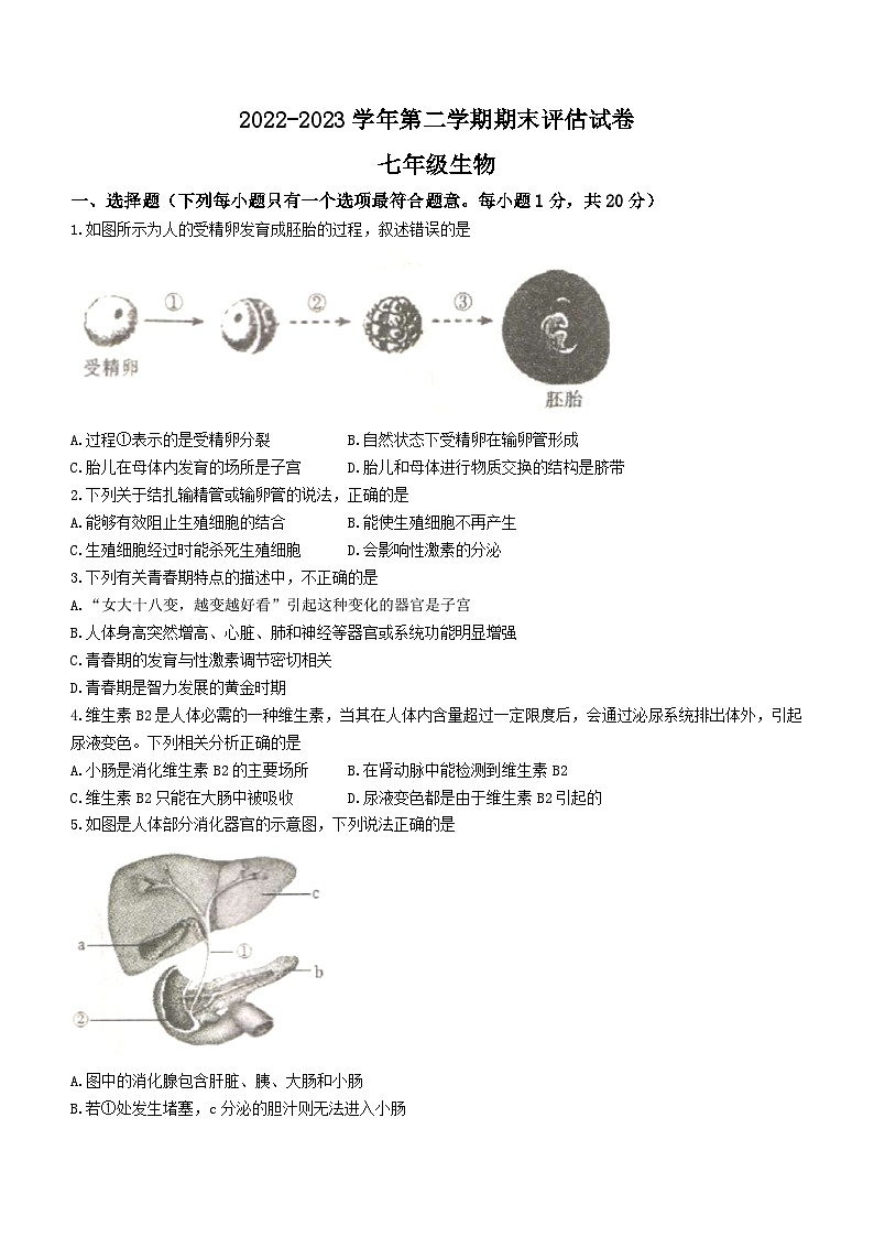 河南省平顶山市宝丰县2022-2023学年七年级下学期期末生物试题（含答案）01