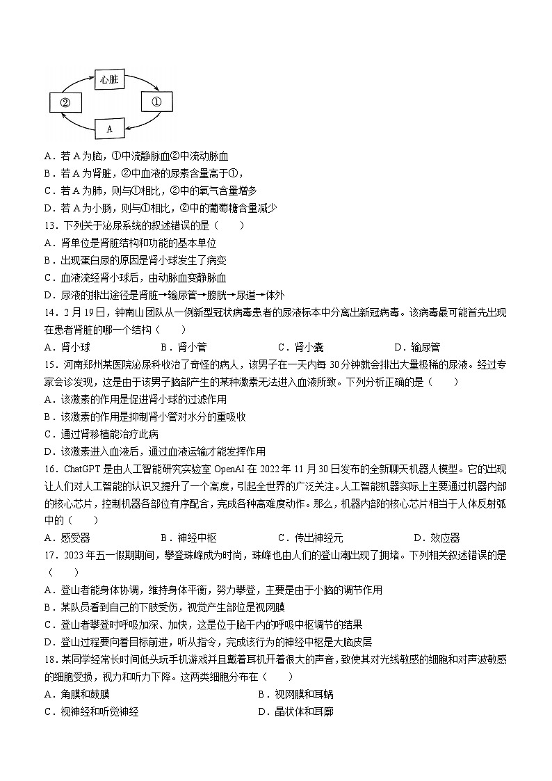河南省许昌市襄城县2022-2023学年七年级下学期期末生物试题（含答案）03