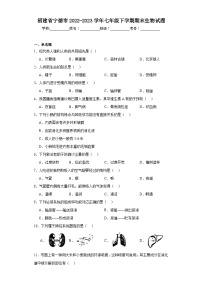 福建省宁德市2022-2023学年七年级下学期期末生物试题（含答案）