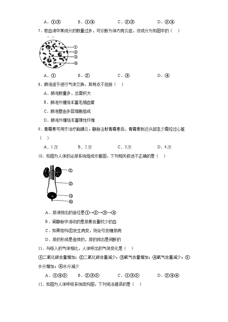 福建省泉州市南安市2022-2023学年七年级下学期期末生物试题（含答案）第2页