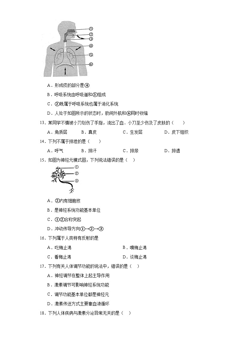 福建省泉州市南安市2022-2023学年七年级下学期期末生物试题（含答案）第3页