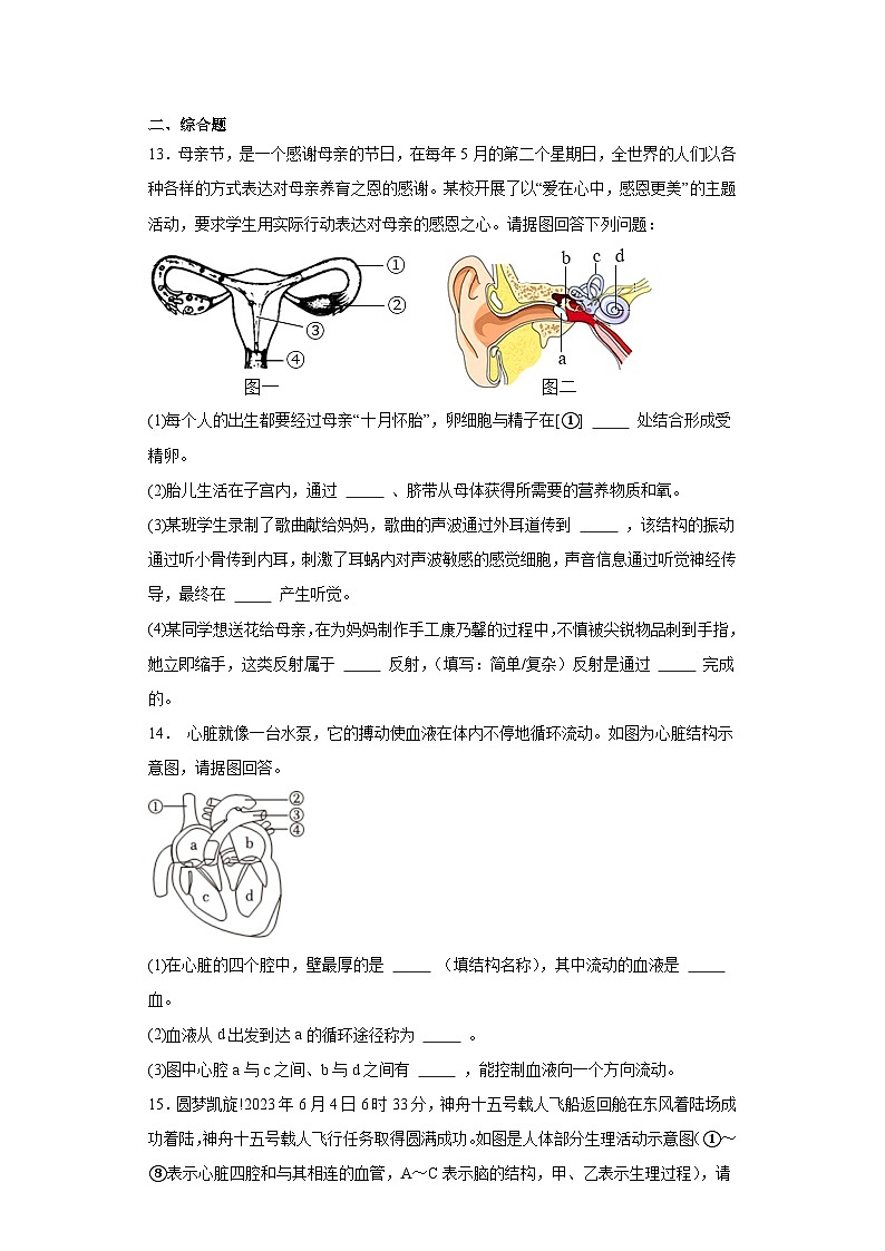 辽宁省葫芦岛市建昌县2022-2023学年七年级下学期期末生物试题（含答案）03