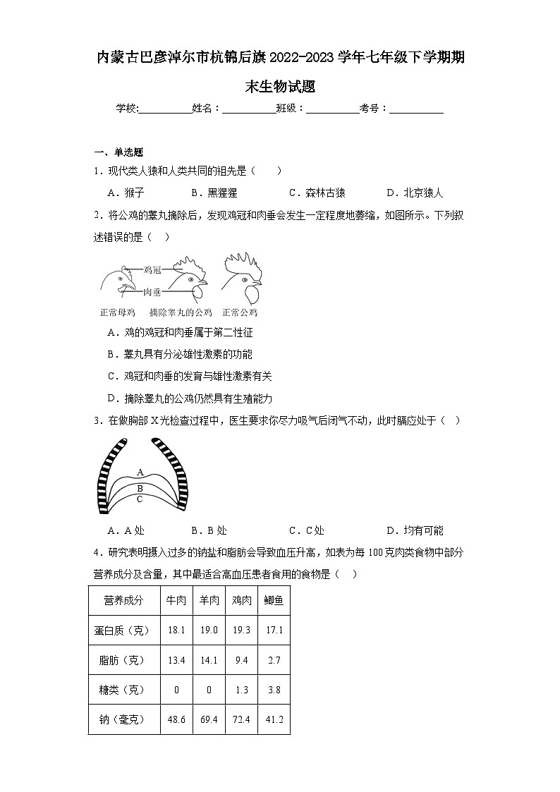 内蒙古巴彦淖尔市杭锦后旗2022-2023学年七年级下学期期末生物试题（含答案）01