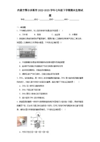 内蒙古鄂尔多斯市2022-2023学年七年级下学期期末生物试题（含答案）