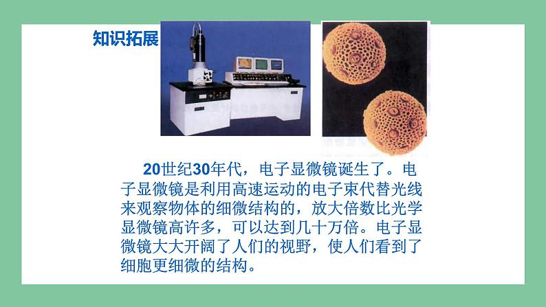 济南版生物七上 1.1.4 生物学的研究工具（课件PPT)04