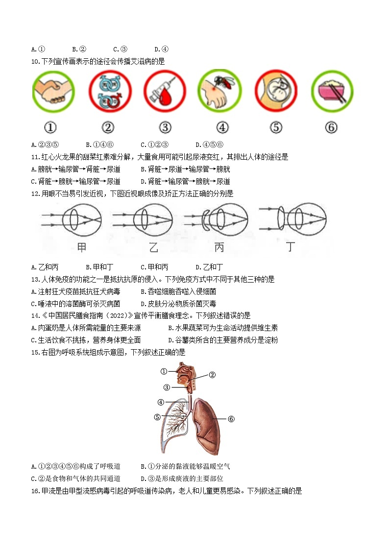 福建省厦门市思明区2022-2023学年七年级下学期期末生物试题（含答案）第2页