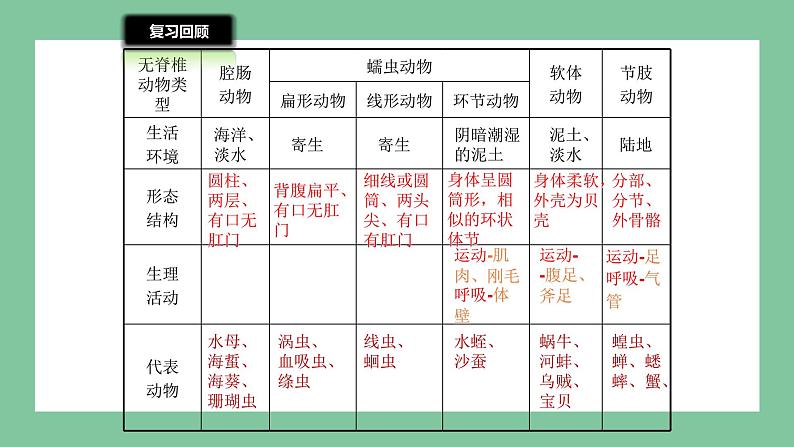 济南版生物七上 2.2.2 脊椎动物的主要类群 第一课时 （课件PPT)04