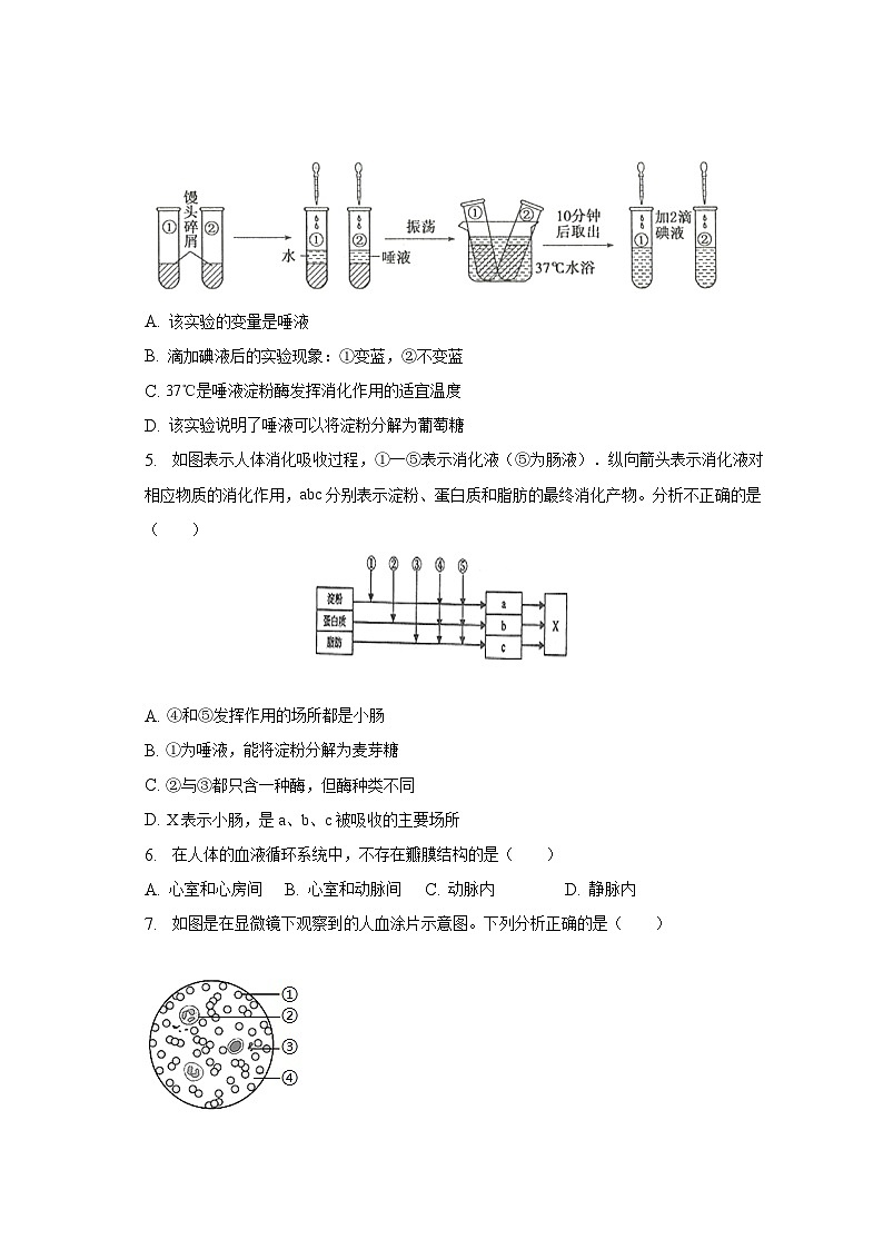 广东省湛江市麻章区2022-2023学年七年级下学期期末生物试卷（含答案）02