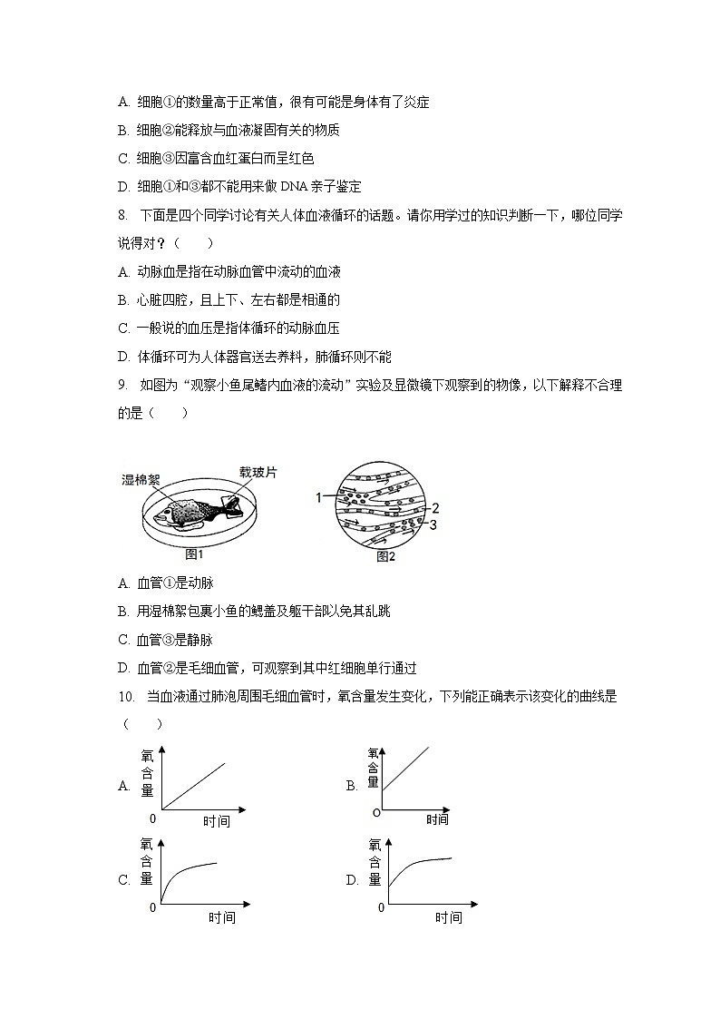 广东省湛江市麻章区2022-2023学年七年级下学期期末生物试卷（含答案）03