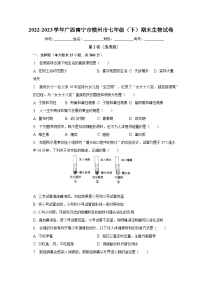 广西南宁市横州市2022-2023学年七年级下学期期末生物试卷（含答案）