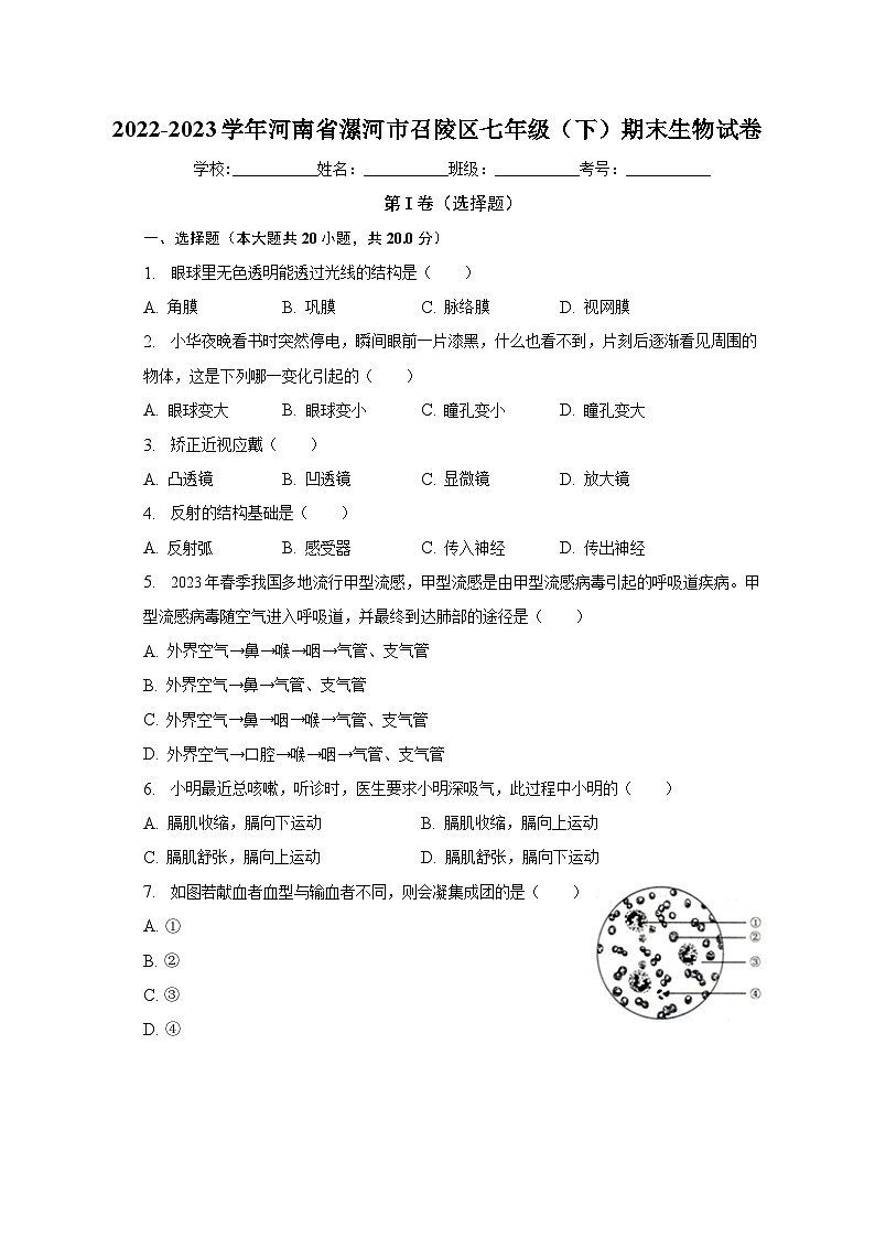 河南省漯河市召陵区2022-2023学年七年级下学期期末生物试卷（含答案）01