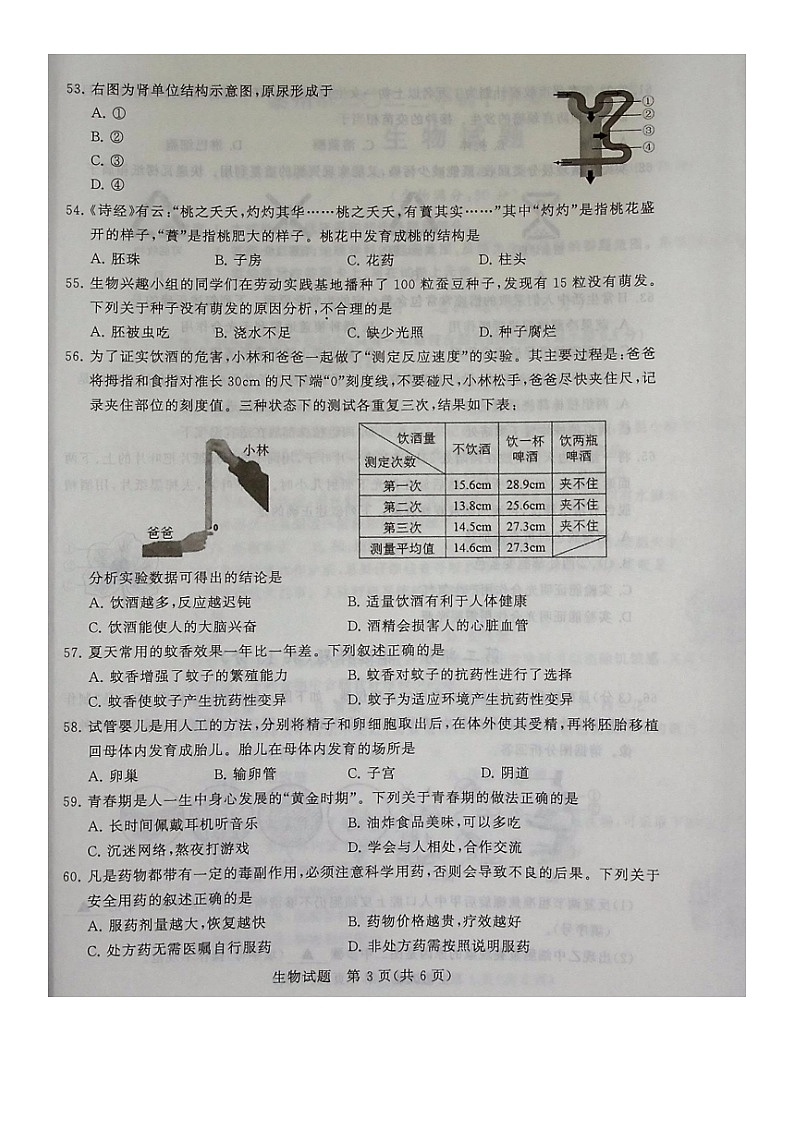 2023年江苏省泰州市中考生物真题03