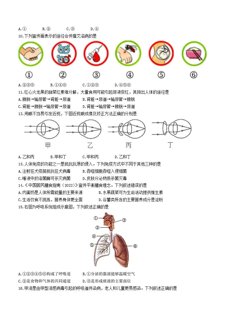 福建省厦门市思明区2022-2023学年七年级下学期期末生物试题（含答案）02