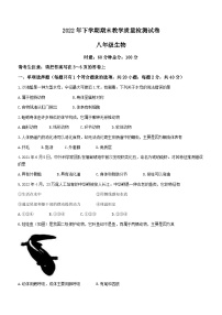 湖南省衡阳市衡南县2022-2023学年八年级上学期期末生物试题（含答案）